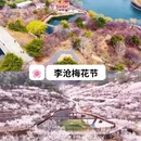 青岛旅游 缩略图 2