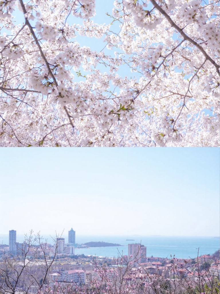 青岛旅游