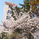 青岛旅游 缩略图 5