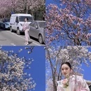 青岛旅游 缩略图 1