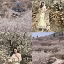 青岛旅游 缩略图 3