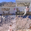 青岛旅游 缩略图 4