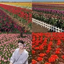 青岛旅游 缩略图 6