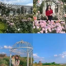 青岛旅游 缩略图 9