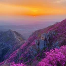 大连旅游 缩略图 1