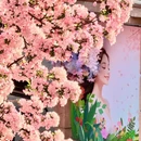 大连旅游 缩略图 4