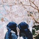 大连旅游 缩略图 3
