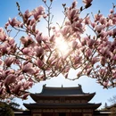 成都旅游 缩略图 1