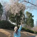成都旅游 缩略图 7