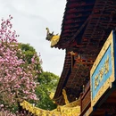成都旅游 缩略图 7