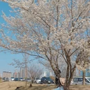 成都旅游 缩略图 8