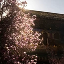 成都旅游 缩略图 5