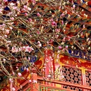 成都旅游 缩略图 9