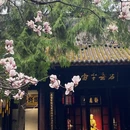 成都旅游 缩略图 1