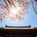 成都旅游 缩略图 10