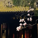 成都旅游 缩略图 3
