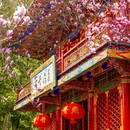成都旅游 缩略图 2