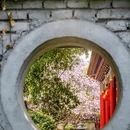 成都旅游 缩略图 5