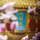 成都旅游 缩略图 4
