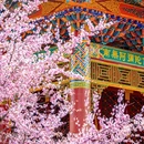 成都旅游 缩略图 6