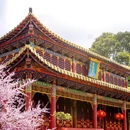 成都旅游 缩略图 11