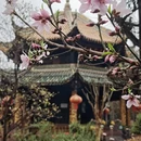 成都旅游 缩略图 2