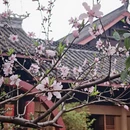 成都旅游 缩略图 7