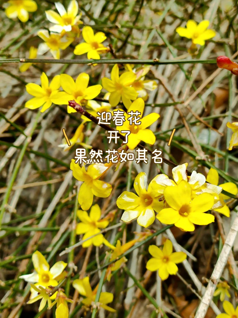 青岛旅游