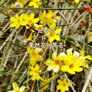 青岛旅游 缩略图 1
