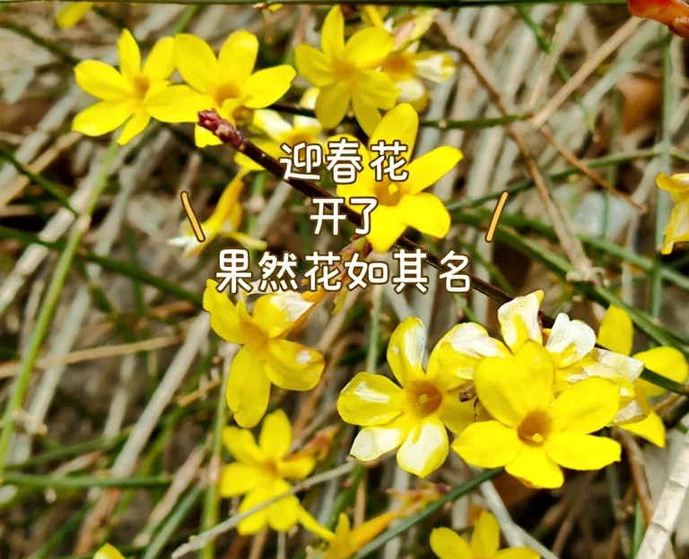 青岛旅游 1