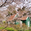 青岛旅游 缩略图 1