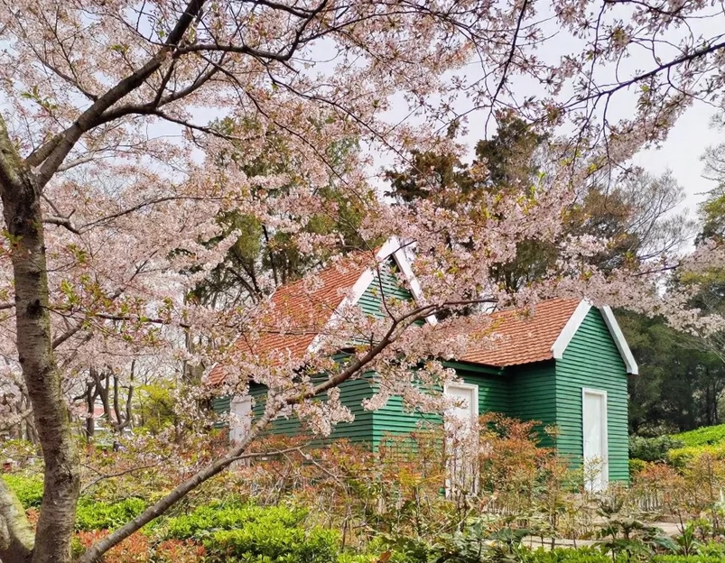 青岛旅游 1