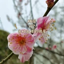 青岛旅游 缩略图 5
