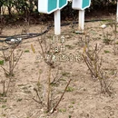 青岛旅游 缩略图 4