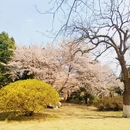 青岛旅游 缩略图 4