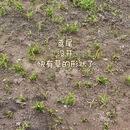青岛旅游 缩略图 6