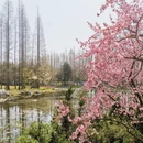 青岛旅游 缩略图 12