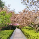 青岛旅游 缩略图 13