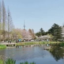青岛旅游 缩略图 5