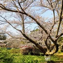 青岛旅游 缩略图 9