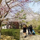 青岛旅游 缩略图 8