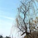 北京旅游 缩略图 8