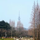 北京旅游 缩略图 4