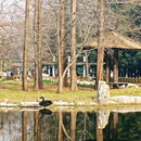 北京旅游 缩略图 5