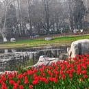 北京旅游 缩略图 6