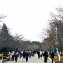 北京旅游 缩略图 2
