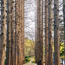 北京旅游 缩略图 12