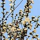 北京旅游 缩略图 9