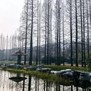 北京旅游 缩略图 3