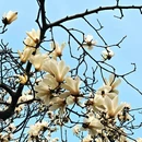 北京旅游 缩略图 15